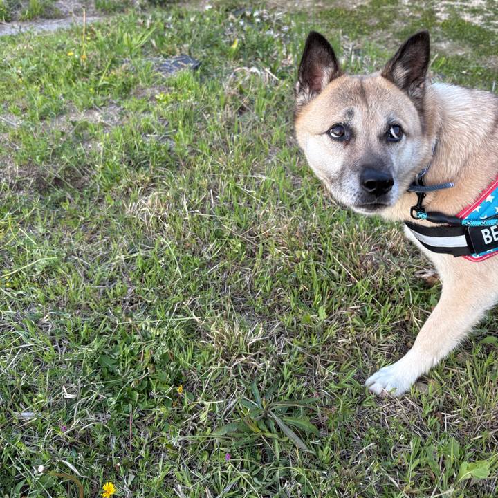 8d22ec1d 5952 4627 b7c3 02302bbd9144 1744806694485