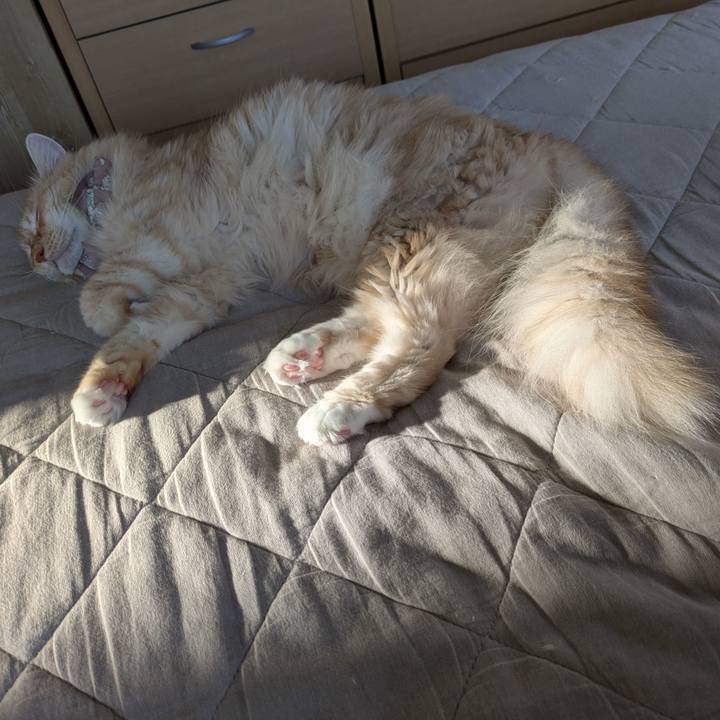 8d22f058 2a05 4958 be58 b8d53ca413b1 1726013385339