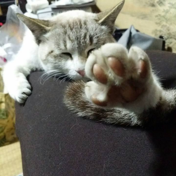 8d2307ef fa1c 4f51 a120 af71110fc411 1515934961452