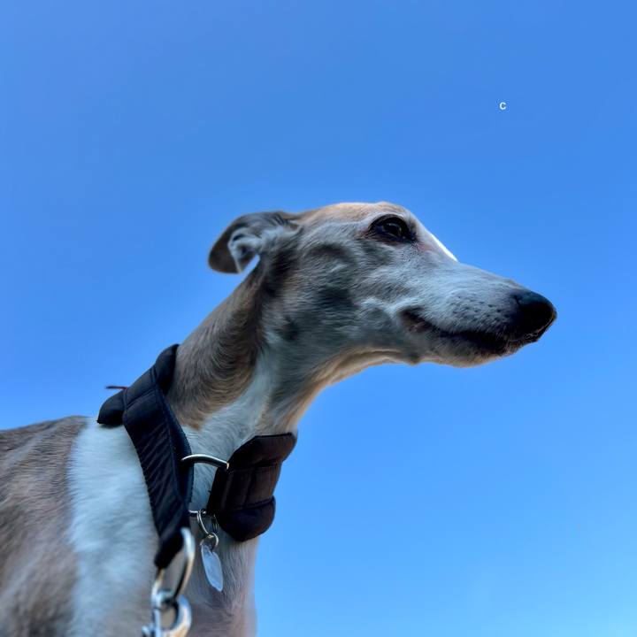 8d23233e 5c92 4e07 a2b4 882fa463e562 1775636305543