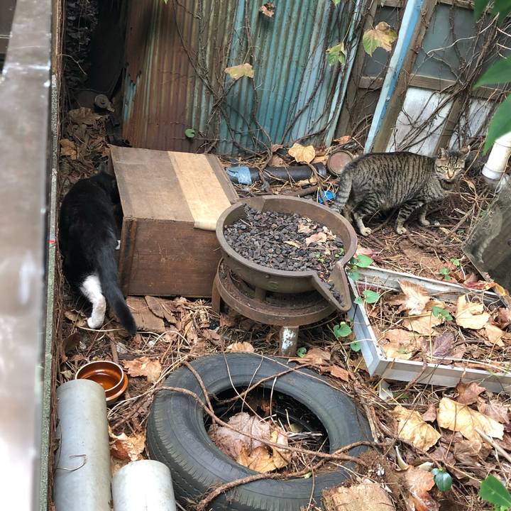 8d235dbc 3bf9 4706 a755 da365f8edef0 1542054297387