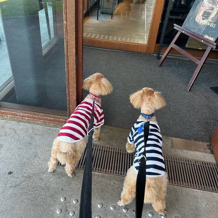 8d23654b 4fe4 47b7 abc3 419a225c255d 1728708432591