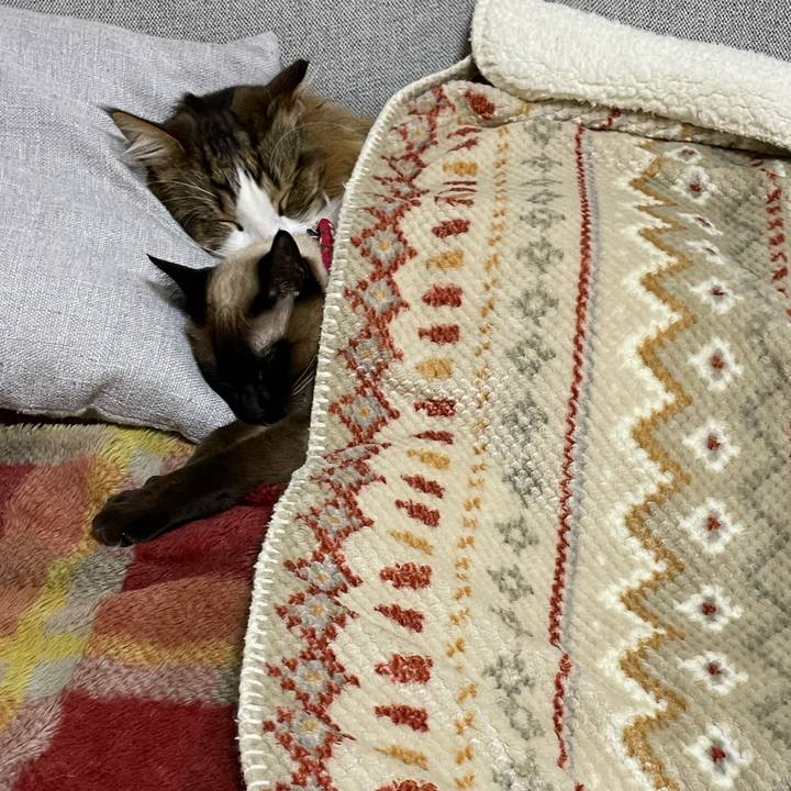 8d23d6bd 55f7 4e26 a568 eb1c64941404 1740312888989