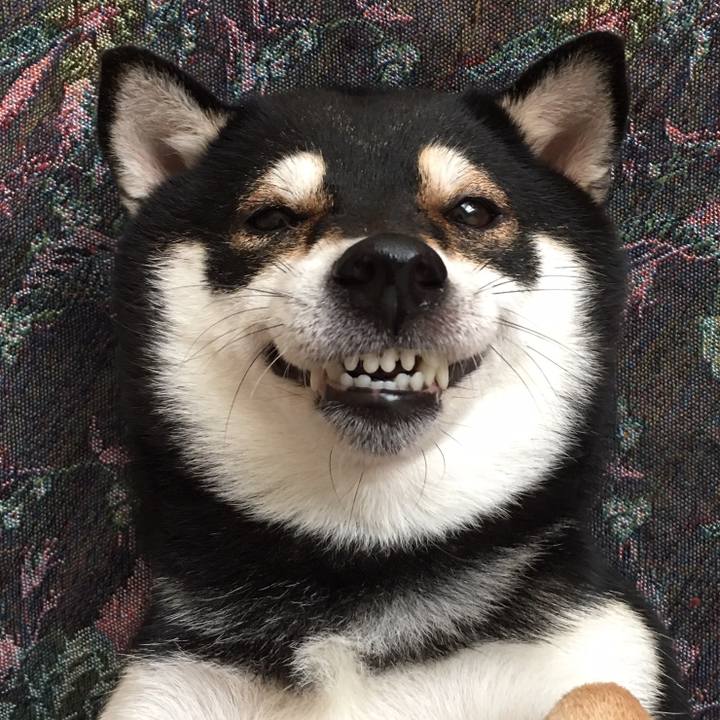 8d23e44b d13e 4f69 919f c89d4ebdd3c9 1539058000353