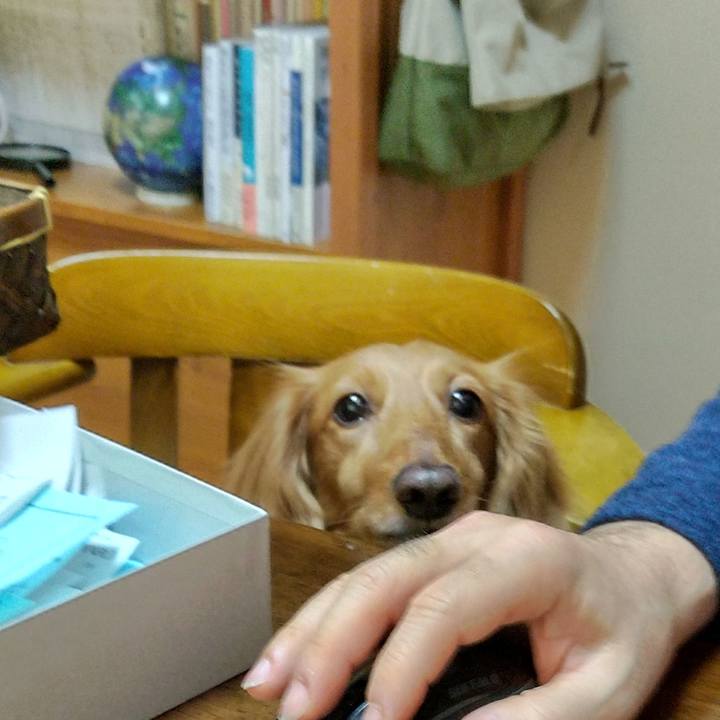 8d23ebc9 07c1 476f b3a3 c5f8cce496a3 1646546419834