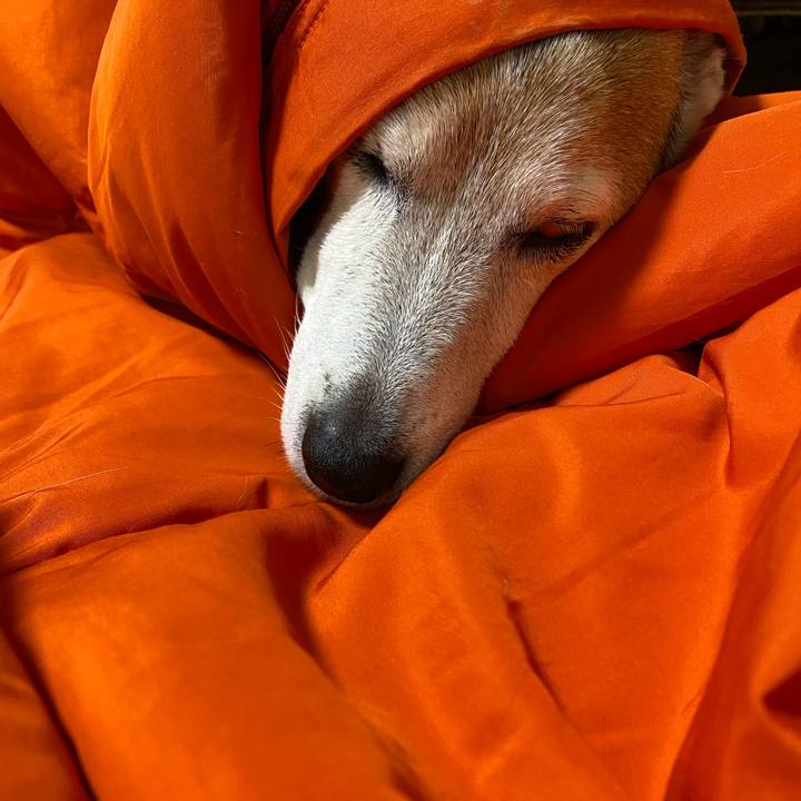 8d23fa86 f5be 4704 92d8 593496885be0 1611175355599