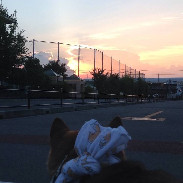 8d243a5d 3494 41ca 9dfe 3df051723a4f 1533121761344