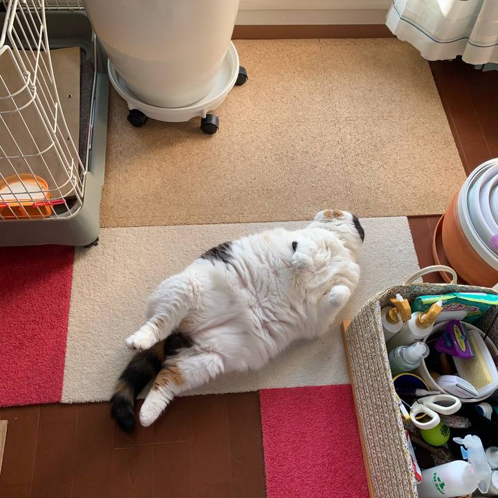 8d24410f afa2 4e35 97bc 5d44fa7f57f5 1562763733185