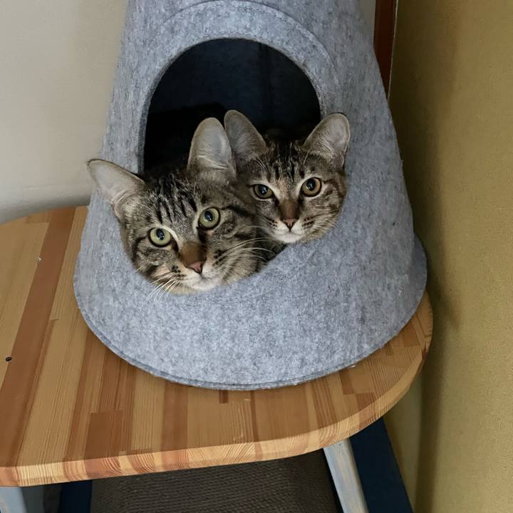 8d247dae d0df 42ea ac67 1b9ed0e88944 1757056374792