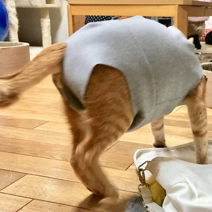 8d25034c bd31 44bc 9924 87e212058599 1521615536778