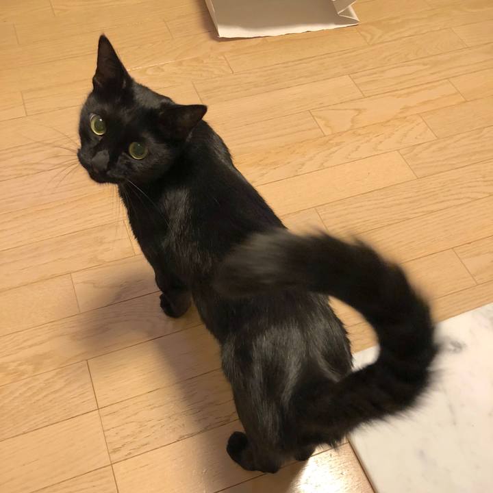 8d2504ff ff15 4910 8b37 ab2e7698974f 1536845866080