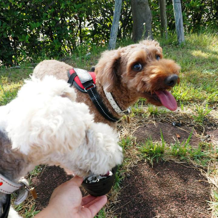 8d25053e dc8b 4c00 9659 49e56c0b0e25 1535110154487