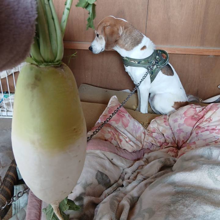 8d251c43 18b1 4b1a be0b 69a071c10c00 1768885689267