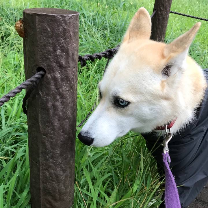 8d256151 57db 44f2 98e8 96a3d617f97d 1533594522276