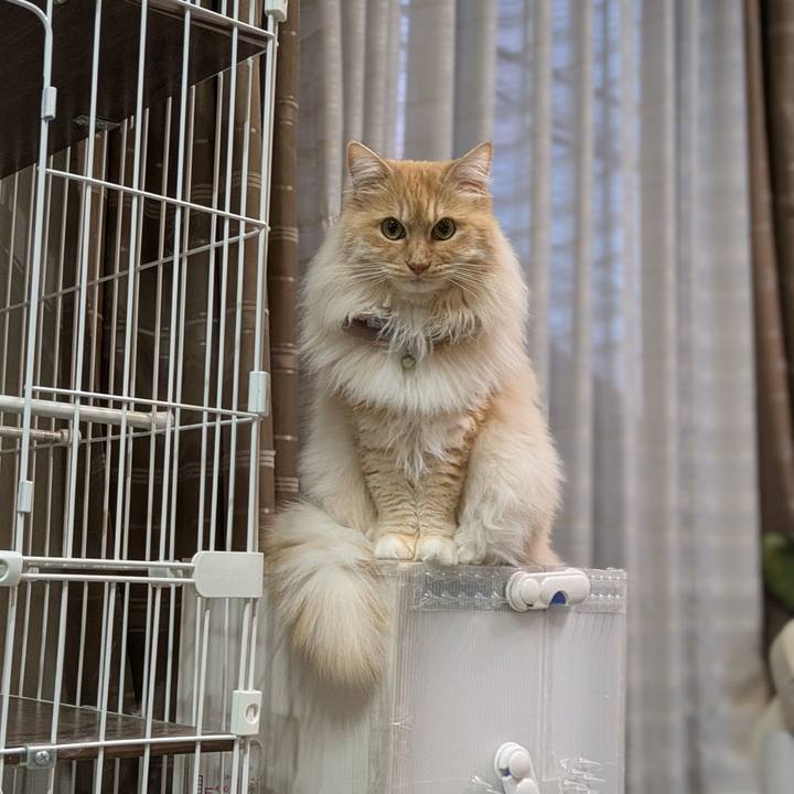 8d261883 cc8a 4429 a459 fe7e85af3c80 1746878317507