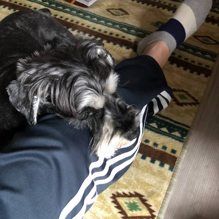 8d2653ce 80f3 42fb a173 cef663ed44ff 1652493645523