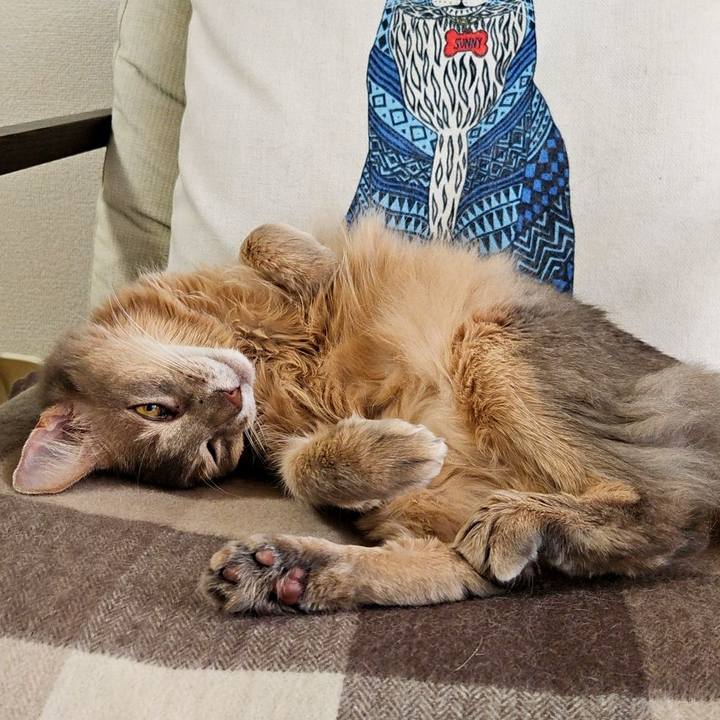 8d266294 89bd 4044 9476 bf5bcb5a2fe4 1732171678318