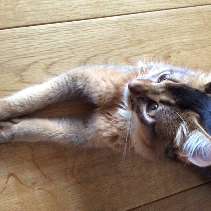 8d267d8a 21bb 46ff ba15 141b903ab0cb 1564525785596