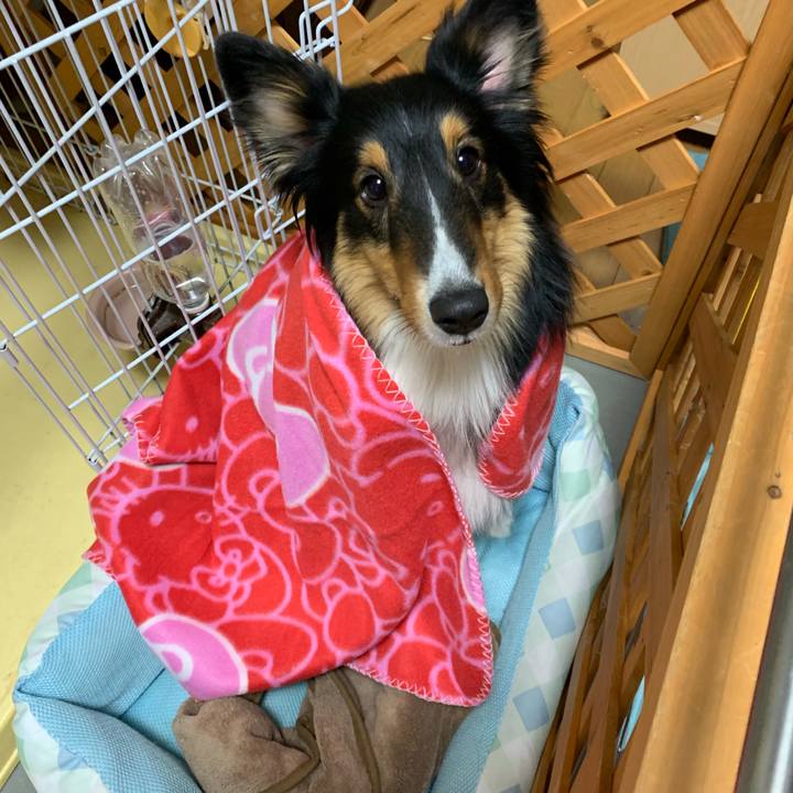 8d267f77 843a 424a 8a25 d7d3e0ab7314 1549980142926