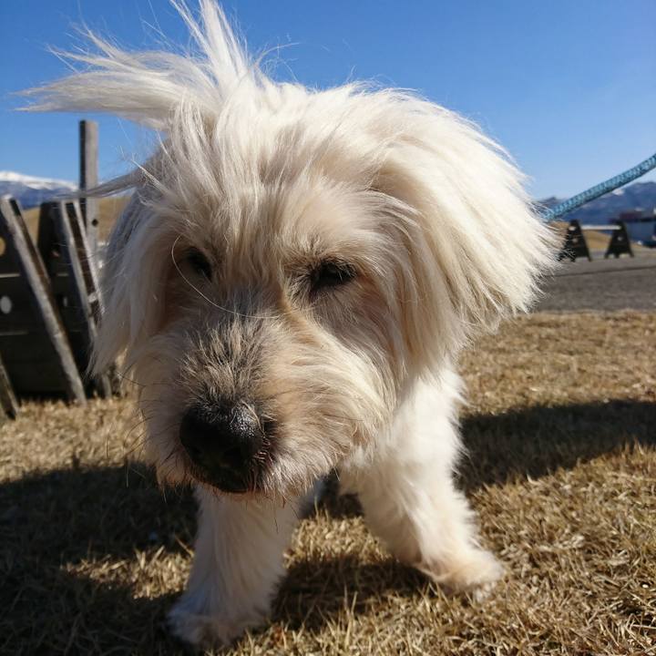 8d26866f 2cb0 4749 b376 7eb88cf1ef7b 1615105449607