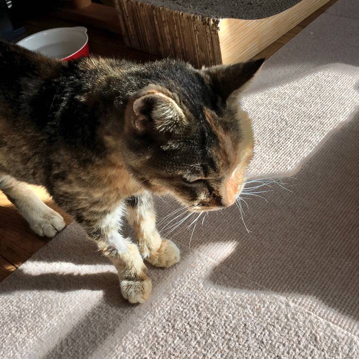 8d26ed53 478e 4fdb 9d1d 6de6867b9df0 1578741131453