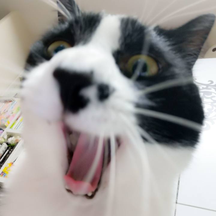 8d26f218 94e0 454d 880a 3b2ef9e835b8 1556298533433