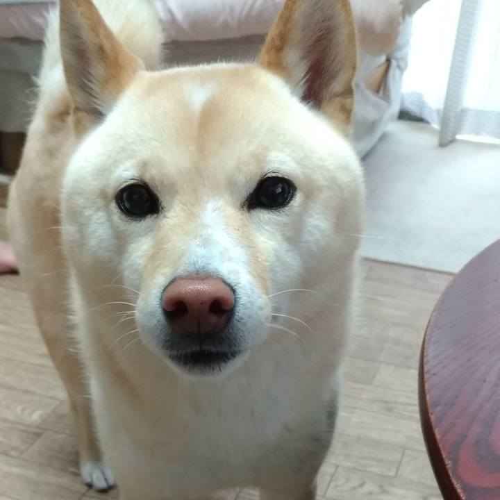 8d26f551 6b3e 4f97 a52f 78e12a79d87c 1591049799482