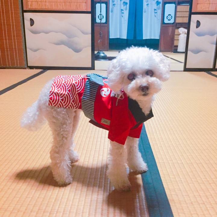 8d26fb8b 6627 4ad6 ae1c 7a6511edbf0e 1533362458532