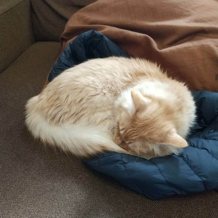 8d27490e eadc 42a3 8694 74e8c82ccc01 1646007525892