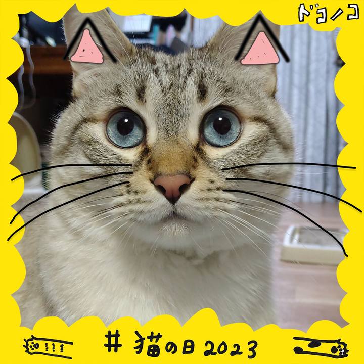 8d274bdc 6e98 43d1 bd07 0bedd5c9f34d 1677065004041