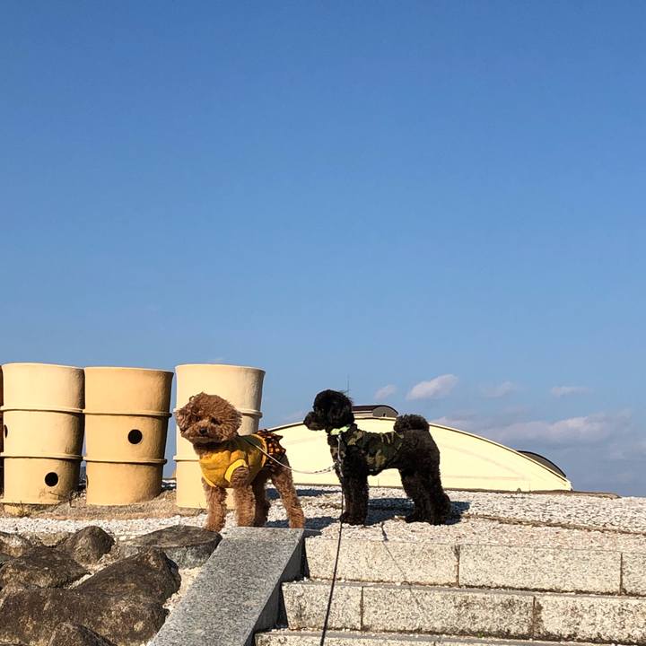 8d277116 9f80 4985 921d 4f0efcfb9ca3 1581591941193