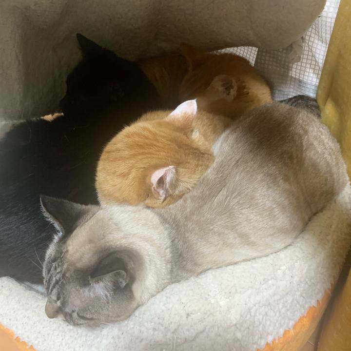 8d278739 ae63 4dbb a010 eed756861029 1770511496132