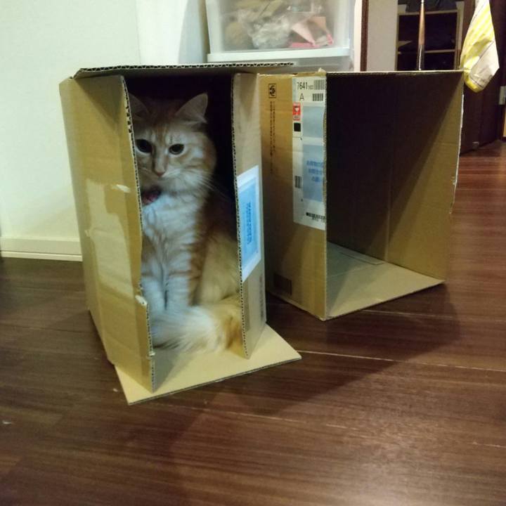 8d27931e f307 43db bbc8 34a3f6b1e7be 1636203792206