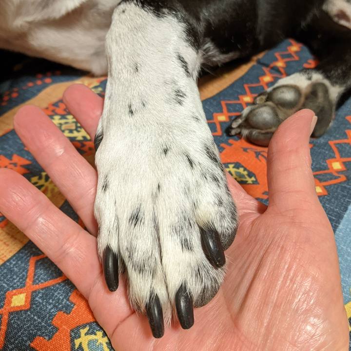 8d27a602 e73b 4047 82e9 43eb35296609 1697076682920