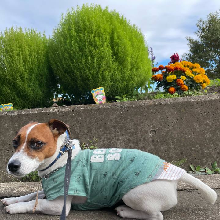 8d27b877 4d01 490b 906f f2eea6a38e13 1633508207021