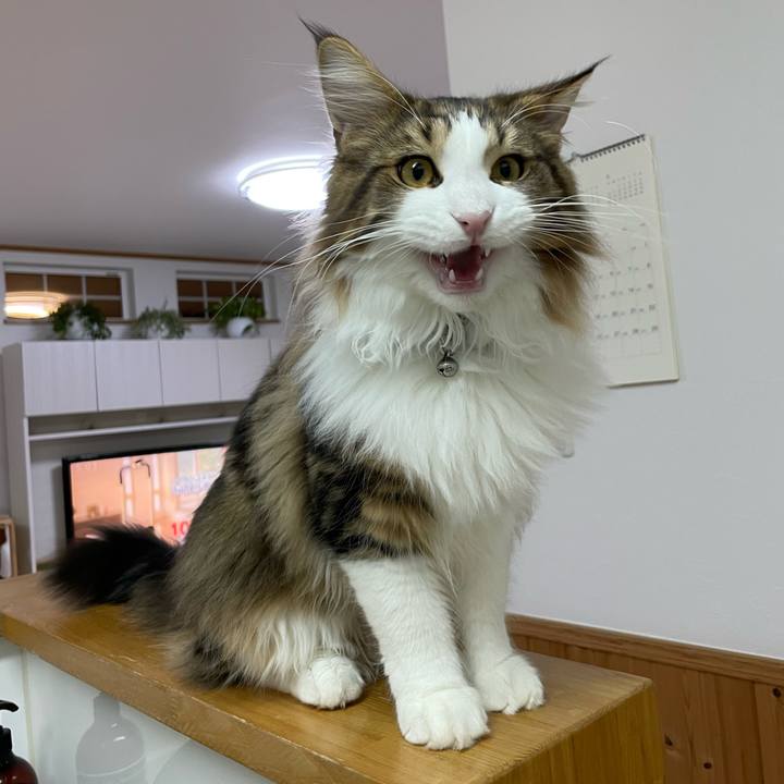 8d281f7c 3070 4030 acbb 7a914305eced 1642882924320