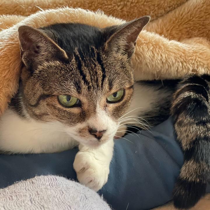 8d283c5c 197c 4958 bfaf 40eab2ec9e67 1647136540915