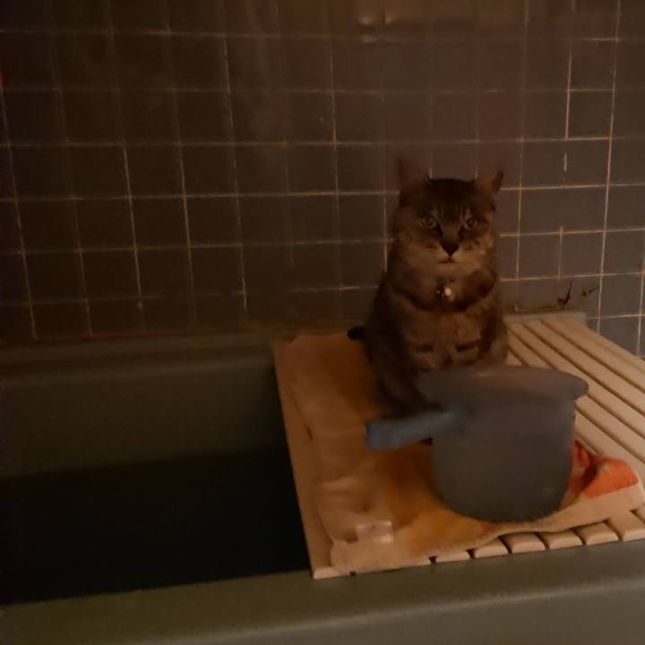 8d2843c1 e7dc 4b66 a139 5c9be899f7f9 1572513041631