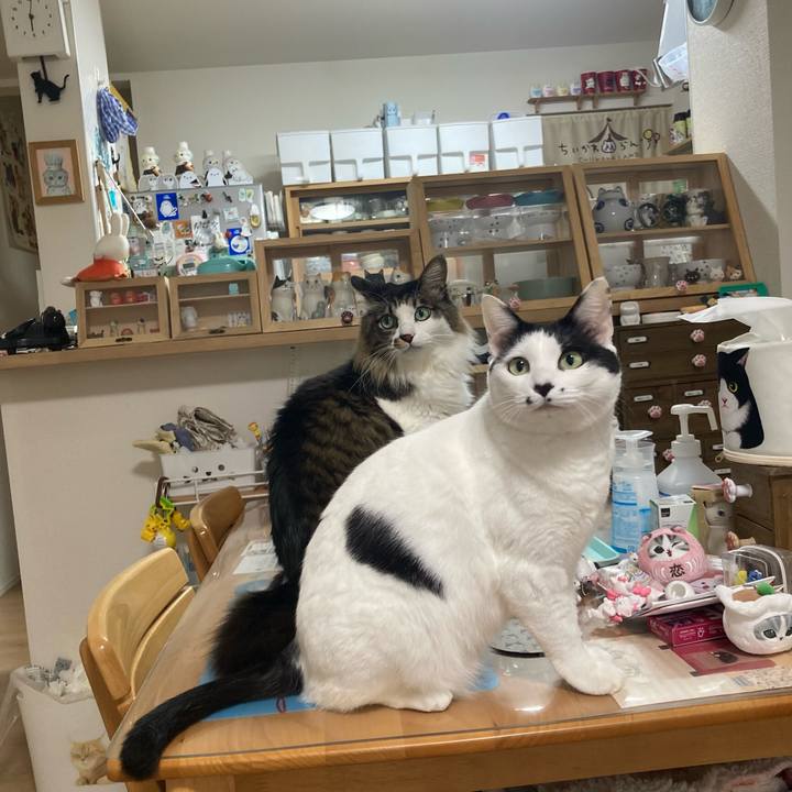 8d28514a c221 4264 979c e509181b3418 1774559645333