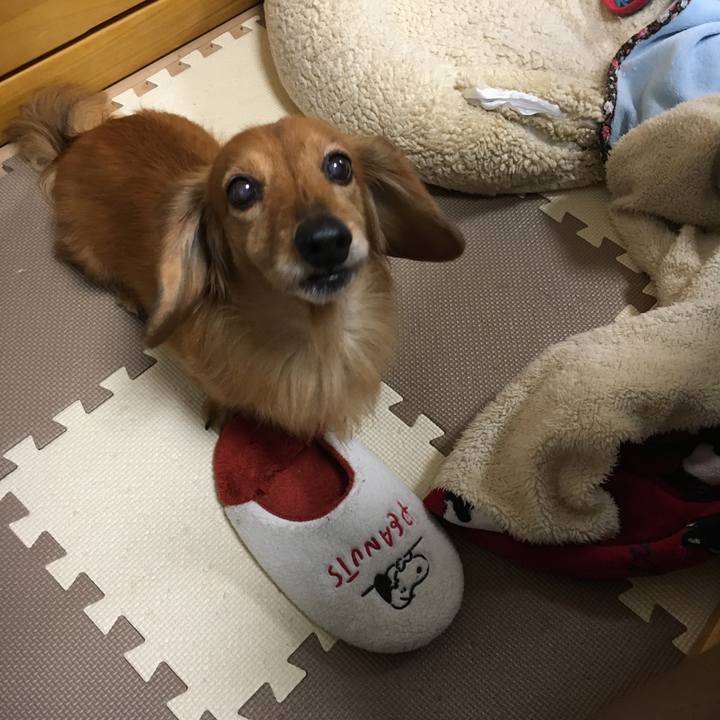 8d286c73 3178 4bb7 9939 5c80b08c8836 1585396557619