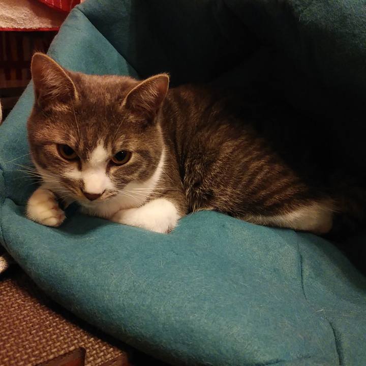 8d289dce 0382 4aeb a778 a9543788ebbd 1581950780484