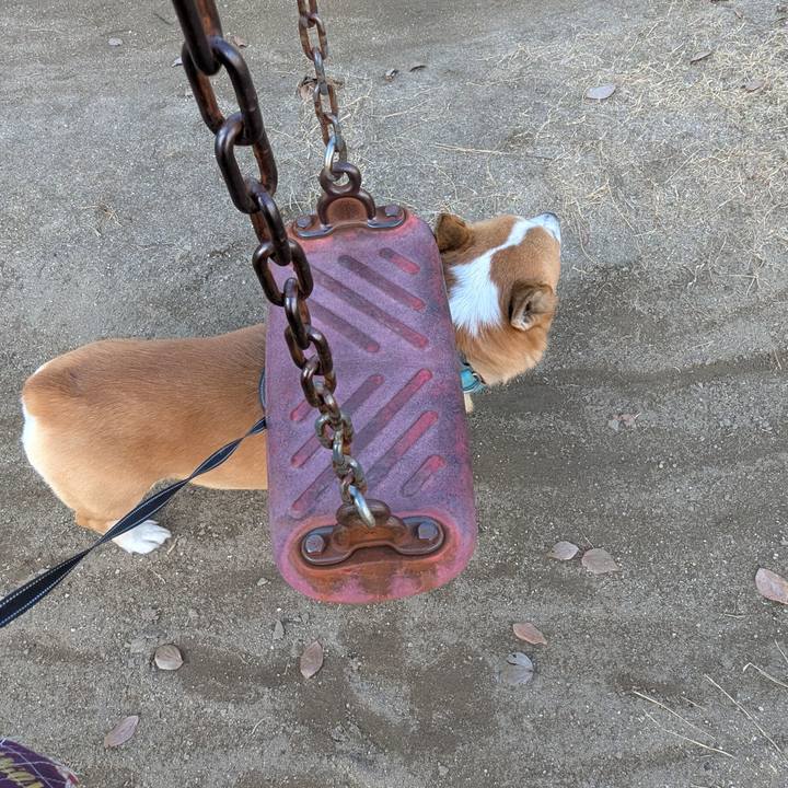 8d28b4bd f4ad 459c a4dc ceae8fc7e472 1740991303106