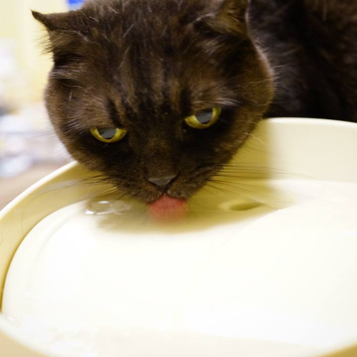 8d28bfff e4f7 4942 b9fb c6584adf95db 1632490172959