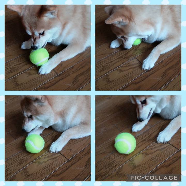 8d290242 007e 433b a89a 282a061f43e0 1751616764383