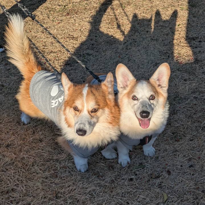 8d293e94 3f35 45e2 b53b edda289d9dc0 1768186484077