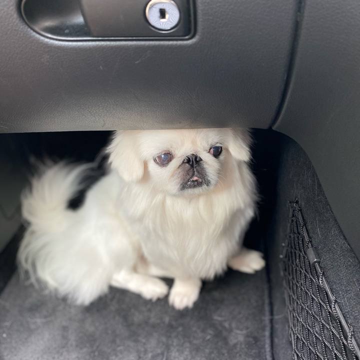 8d29666a fd24 4297 bea3 dfd6530805bf 1600570527046