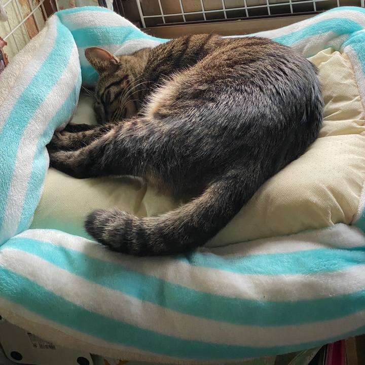 8d296a27 ec32 4b6a 8a7b f9c4b6afda12 1579856299358