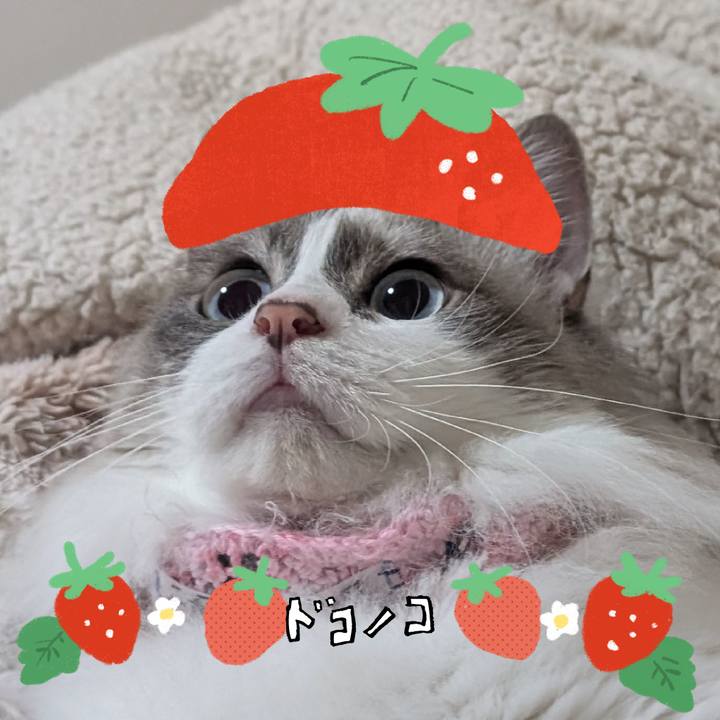 8d29af83 cf99 475f 9d48 6d9249ef2629 1775249335496