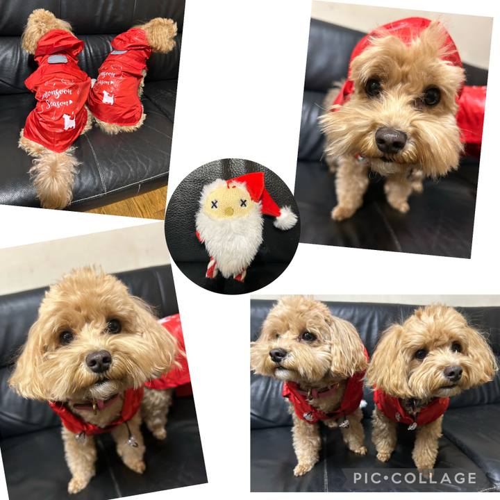 8d29cb15 2f0f 473f ad18 3d94f25e7381 1699971178192