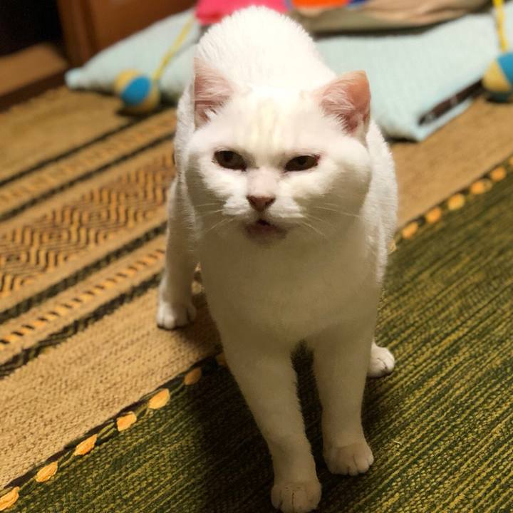 8d2a01b9 f01d 4b7e bc1a 1bdbb1505cd1 1534299904668